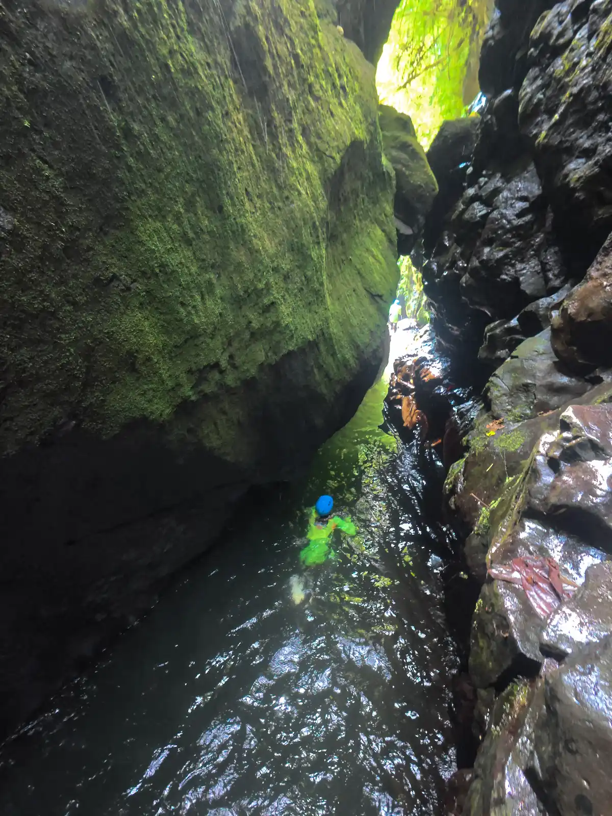 Canyoner swimming through a narrow, mossy canyon slot
