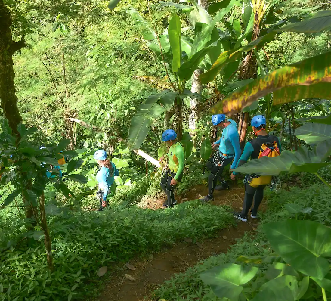 A guided canyoning group walking through the North Bali jungle